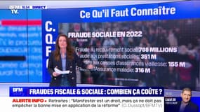 Fraudes fiscale et sociale: combien ça coûte à l'État?