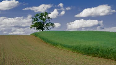 La "loi Biodiversité" a été promulguée au Journal officiel le 9 août 2016. (image d'illustration)