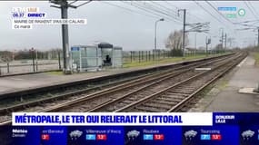 Nord-Pas-de-Calais: l'association MétrOpale milite pour un train du littoral