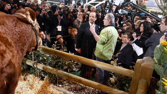 François Hollande a effectué mardi une longue visite au 49e Salon international de l'Agriculture, se rendant à son tour au chevet d'un monde paysan inquiet pour l'avenir et électoralement conservateur. Le candidat socialiste à la présidentielle a été acco