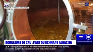 Alsace: les bouilleurs de cru perpétuent l'art du Schnaps