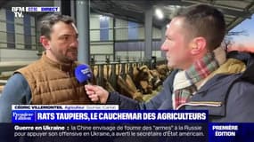 Rats taupiers, le cauchemar des agriculteurs - 20/02