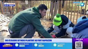 Des écoliers seynois plantent au fort Napoléon 
