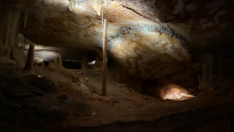 La réplique de la grotte Cosquer à Marseille.