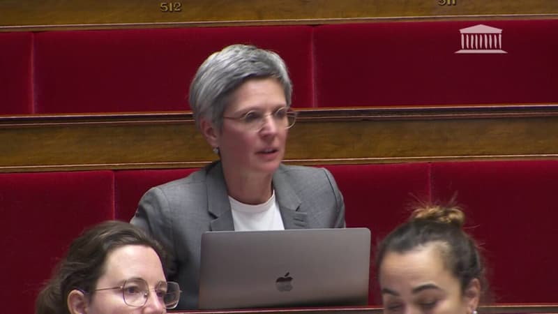 Assemblée nationale: nouvelles tensions ce soir sur les bancs de l’hémicycle entre Sandrine Rousseau et Olivier Dussopt
