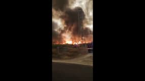 Incendies: les images du brasier en Gironde filmé par les pompiers