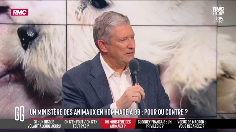Ministère des animaux en hommage à Brigitte Bardot : "C'est excessif", selon Emmanuel de Villiers