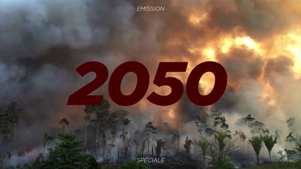 "2050, le pari perdu."