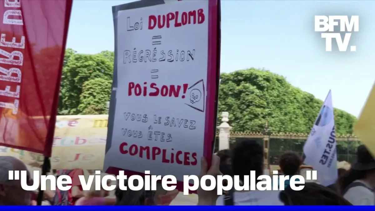 vídeo de marcador de posición