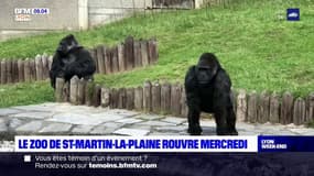 Le zoo de Saint-Martin-la-Plaine rouvre mercredi