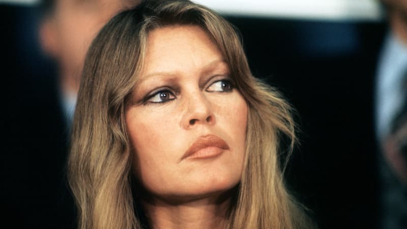 Brigitte Bardot, une icône de liberté mais farouche opposante au féminisme