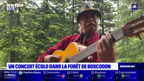Hautes-Alpes: un concert organisé dans la forêt de Boscodon