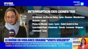 Le Rhône en vigilance orange vents, la circulation des trains perturbée