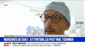 "Ça inocule une bactérie en profondeur": chaque année, 25.000 Français finissent au bloc opératoire après une morsure de chat