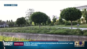 Pourquoi les parcs et jardins restent-ils fermés à Paris malgré la demande de la mairie?