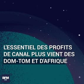 D'où viennent les profits de Canal Plus?