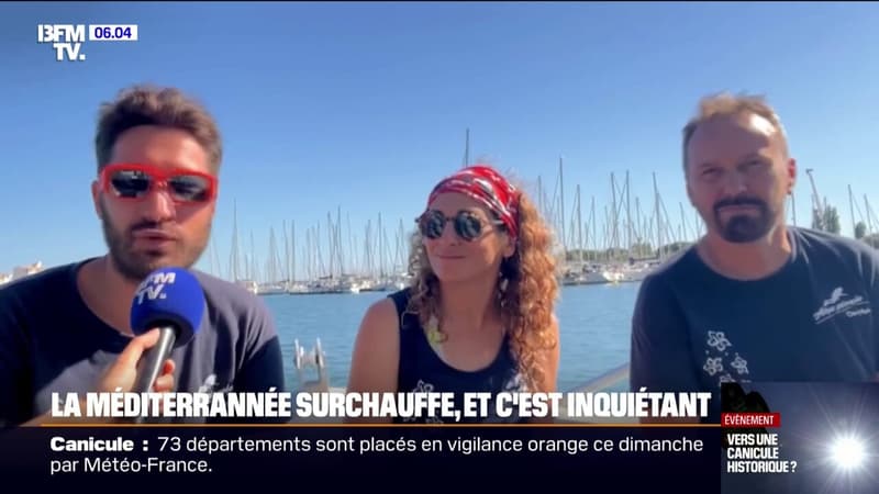Canicule: la Méditerranée en surchauffe, des écarts de +3 à +5 °C relevés thumbnail