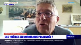 Normandie: comment bien choisir les huîtres pour Noël?