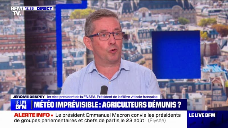 Baisse des rendements agricoles: 