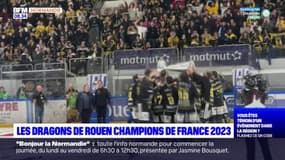 Ligue Magnus: Rouen a remporté son 17e titre de champion de France face à Grenoble vendredi soir