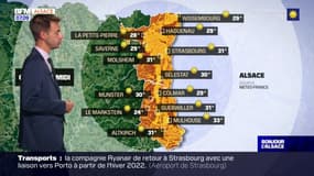 Météo Alsace: un grand ciel bleu et jusqu'à 33°C à Mulhouse