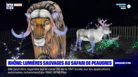 Auvergne-Rhône-Alpes: Lumières sauvages au safari de Peaugres