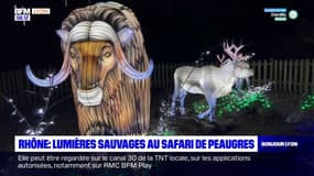 Auvergne-Rhône-Alpes: Lumières sauvages au safari de Peaugres