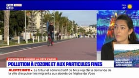 Alpes-Maritimes: pollution à l'ozone et aux particules fines