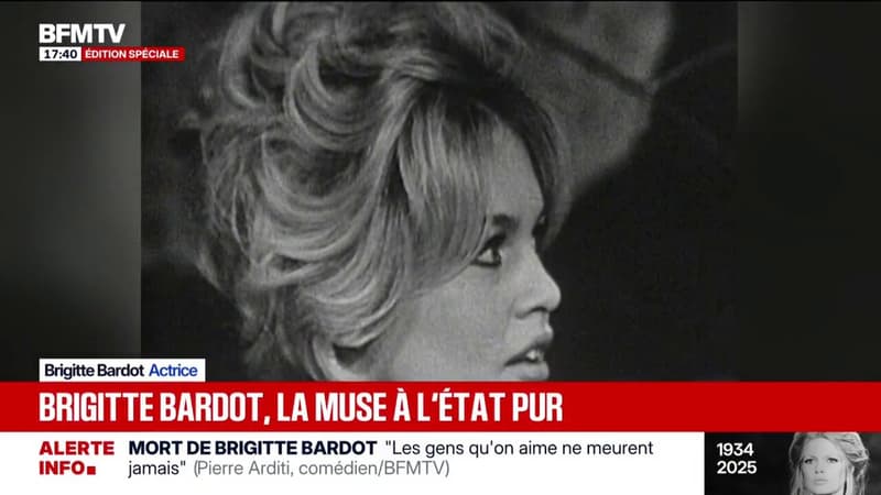 Brigitte Bardot, la muse absolue du cinéma français