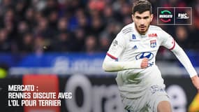 Mercato : Rennes discute avec l'OL pour Terrier