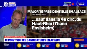 Législatives anticipées: tous les députés sortants réinvestis, le RN présente des candidats dans toutes les circonscriptions de la région