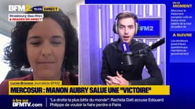 Mercosur: "Il y a eu une pression immense dans les couloirs du Parlement européen", dénonce Manon Aubry (LFI)