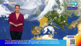 Normandy intelligence overview