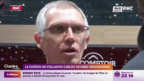 Le patron de Stellantis Carlos Tavares démissionne 