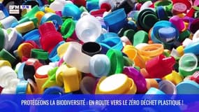 Protégeons la biodiversité : en route vers le zéro déchet plastique