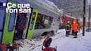 Cette photo prise et diffusée par la Police cantonale valaisanne le 16 février 2026 montre un train régional qui a déraillé à Goppenstein, dans le sud de la Suisse.