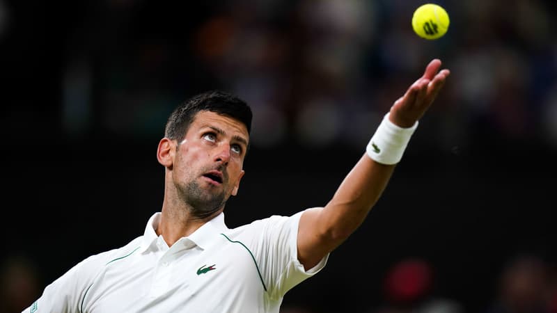 N. Djokovic