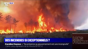 Déjà plus de 27.000 hectares brûlés à la mi-juillet cette année, presque autant que sur toute l'année 2021 