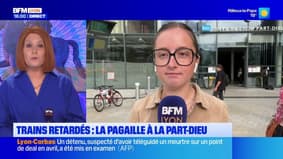 Trains retardés : la pagaille à la Part-Dieu