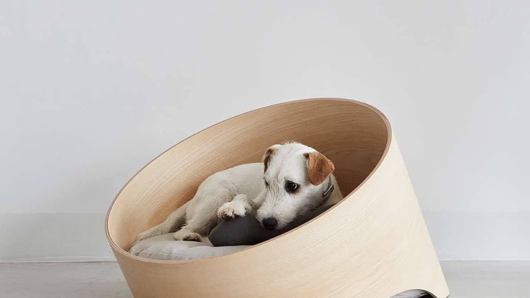 Panier pour chien Covo S, MiaCara 
