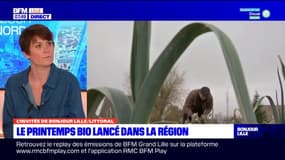 "Le bio représente plus de 7.000 emplois dans les fermes", Pauline Saey, responsable communication chez A pro bio