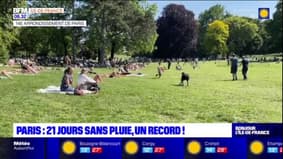 Paris: 21 jours sans pluie, un record depuis 74 ans