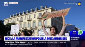 Nice: la manifestation pour la paix autorisée 