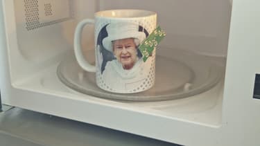 Nous ne savons pas si Elizabeth II approuve le réchauffage au four à micro-ondes.