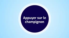 "Appuyer sur le champignon", l'expression de l'auto décryptée cette semaine.