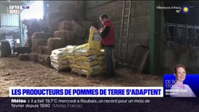 Hauts-de-France: comment les producteurs de pommes de terre s'adaptent à la crise sanitaire 