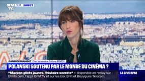 Polanski soutenu par le monde du cinéma ? (2) - 13/11