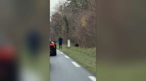 Ce samedi 6 décembre, un chasseur a tiré sur un sanglier blessé au bord de la route. 