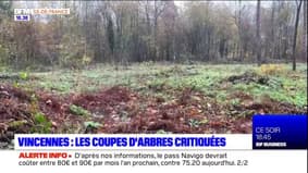 Bois de Vincennes: des associations dénoncent des coupes rases d'arbres