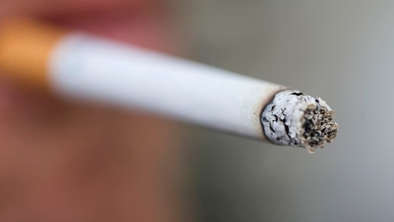 Marseille est en tête de la location de vacances "fumeurs" en France, selon une étude du site Holidu.